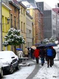2013 02 24 Marolles 08