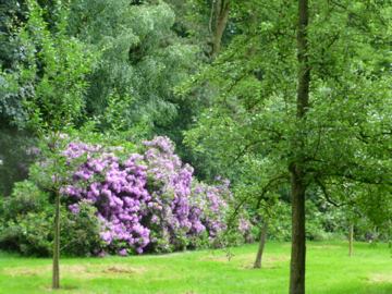 Gaasbeek 052